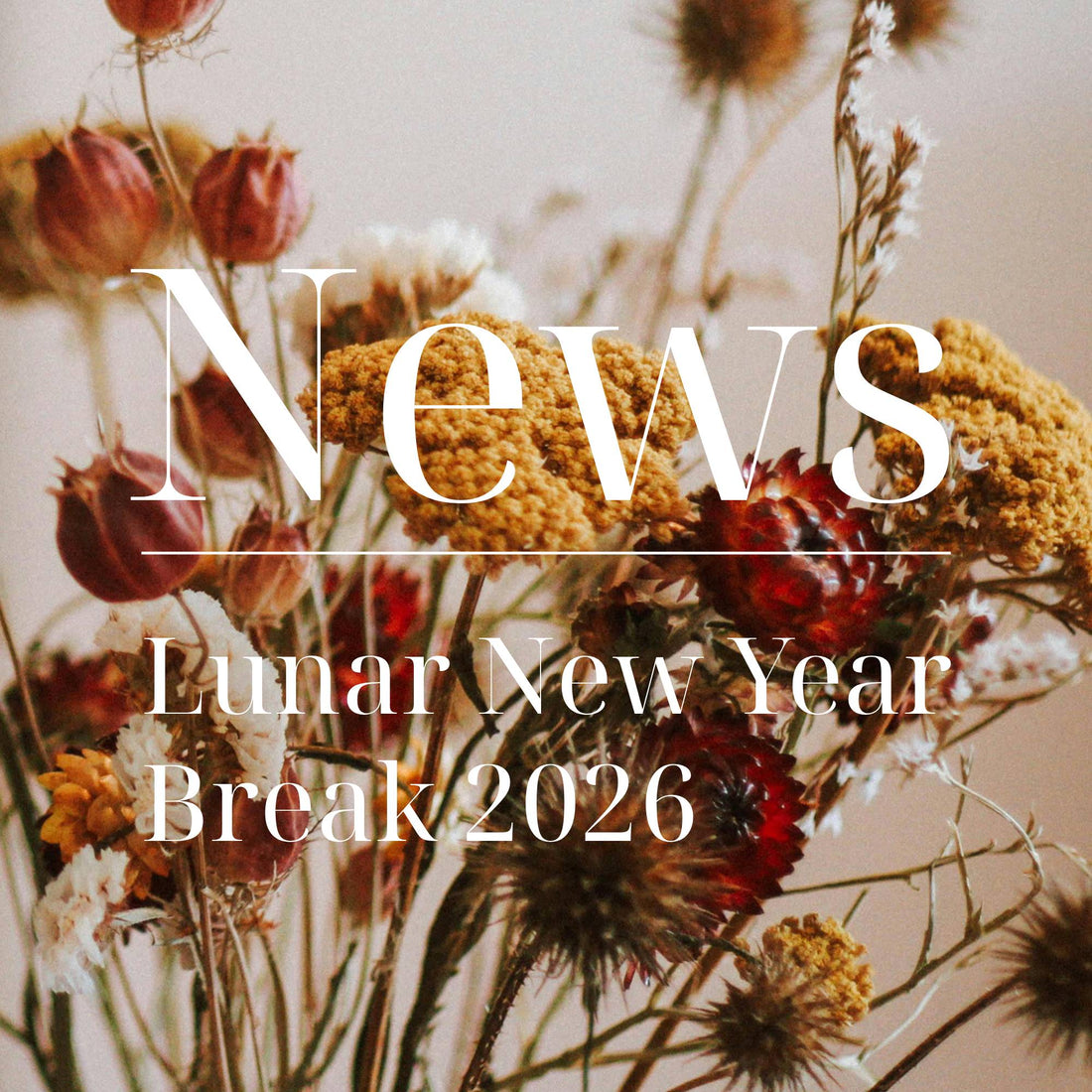Holiday Notice: Lunar New Year Break 2026