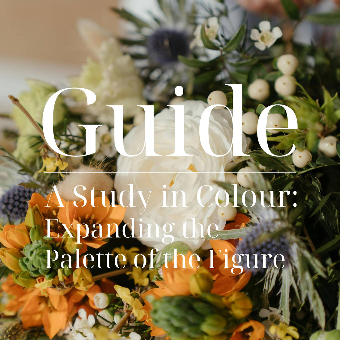 A Study in Colour: Expanding the Palette of the Figure