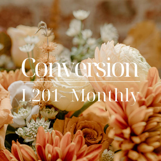 Monthly Conversion